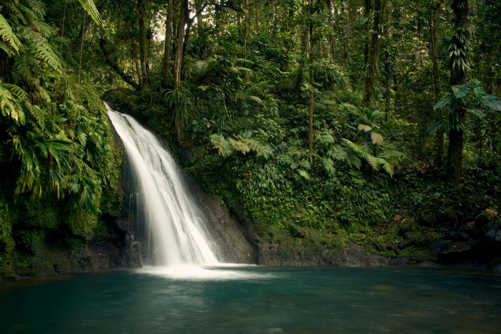 Chute à proximité de Deshaies Basse-Terre Guadeloupe